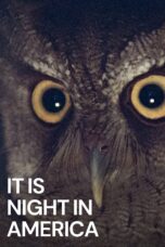 Nonton Film It Is Night in America (2022) Nonton Film It Is Night in America (2022)