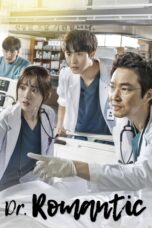 Dr. Romantic Season 2 (2020) Dr. Romantic Season 2 (2020)