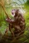 Nonton Film Earthsounds (2024)