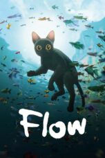 Flow (2024) Flow (2024)